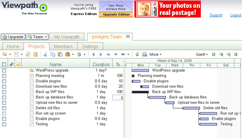 Viewpath Gantt chart