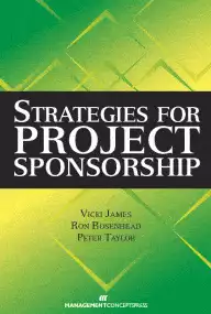 Strategies For Project Sponsorship