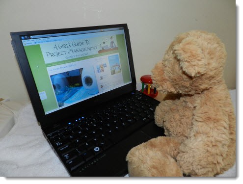 laptop and bear