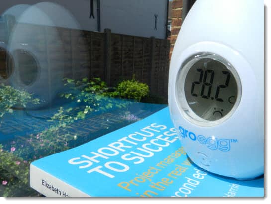 A Gro Egg thermometer