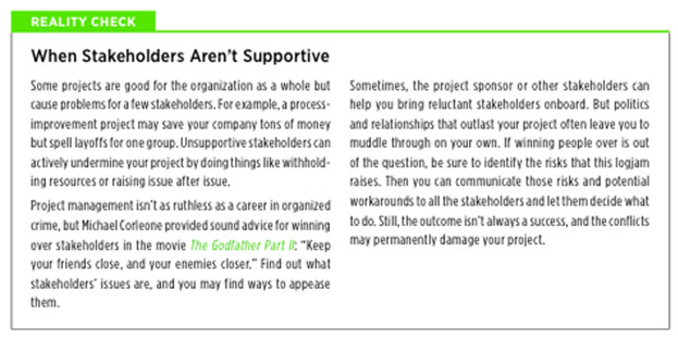 Screenshot of section from Microsoft Project 2013 showing tips on project sponsorship
