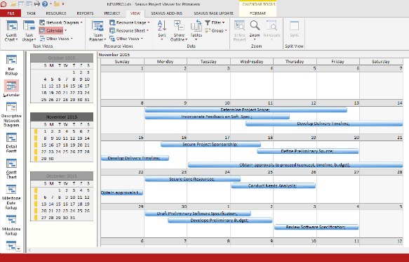 Calendar view in Primavera