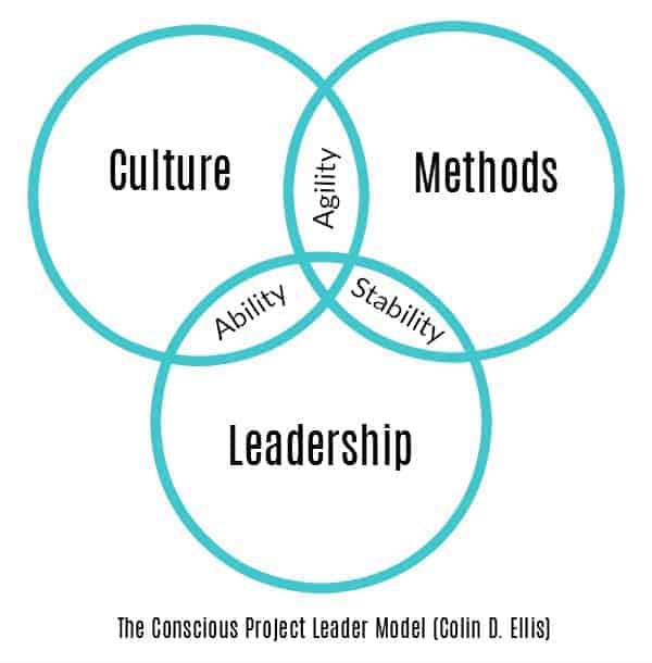 Conscious Project Leader Model