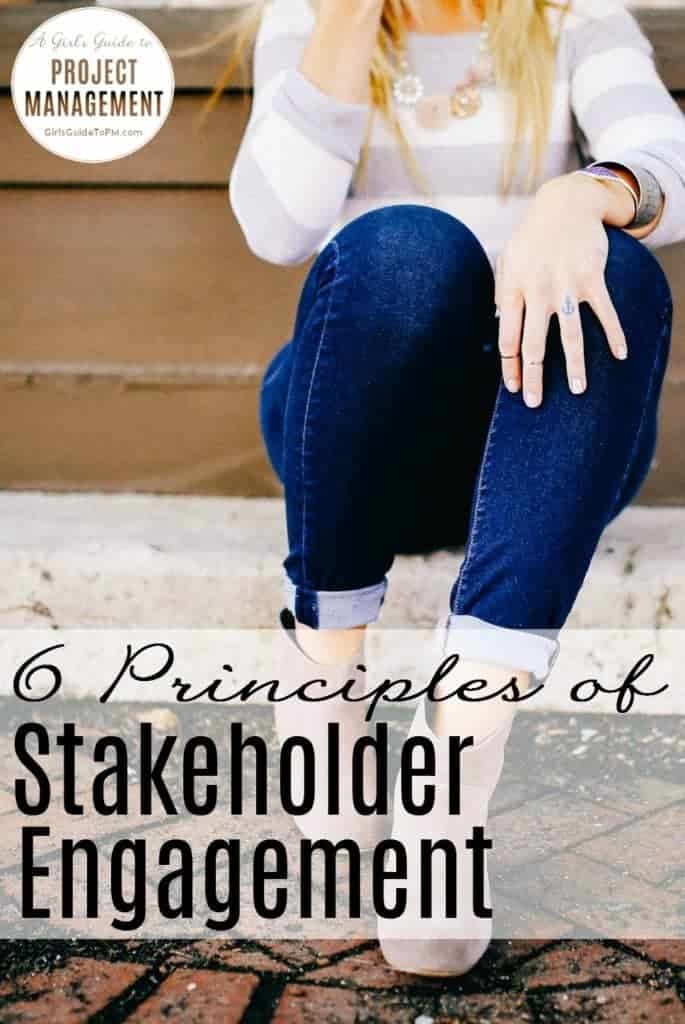 6 Principles of Stakeholder Management