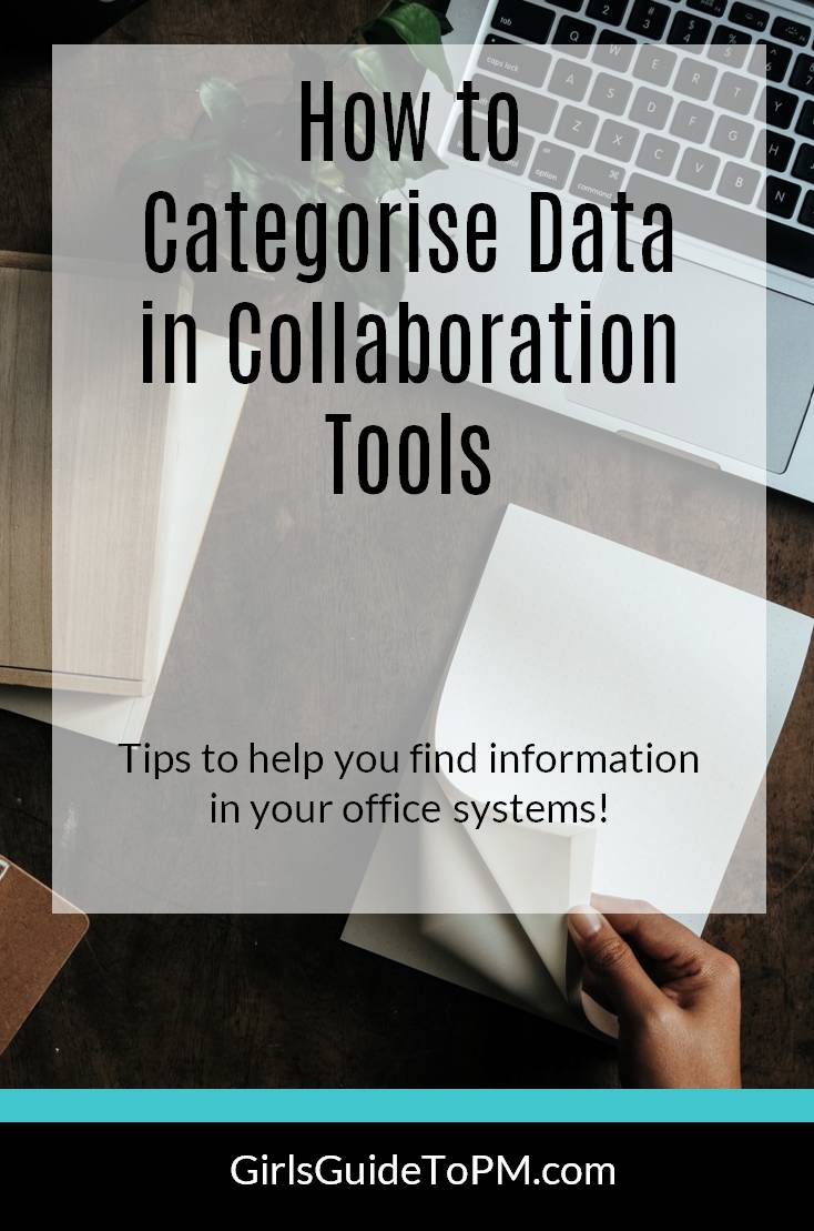 How to categorise data in project management software