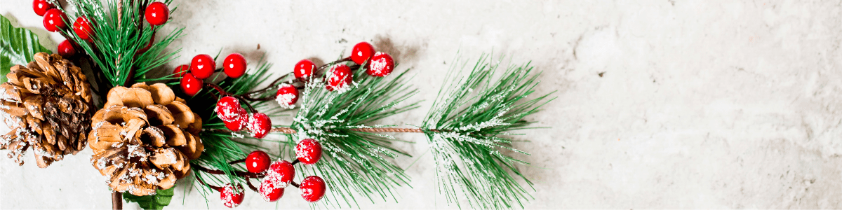 holly berries and fir leaves