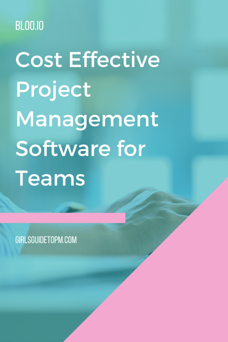Cost effective project management software for teams