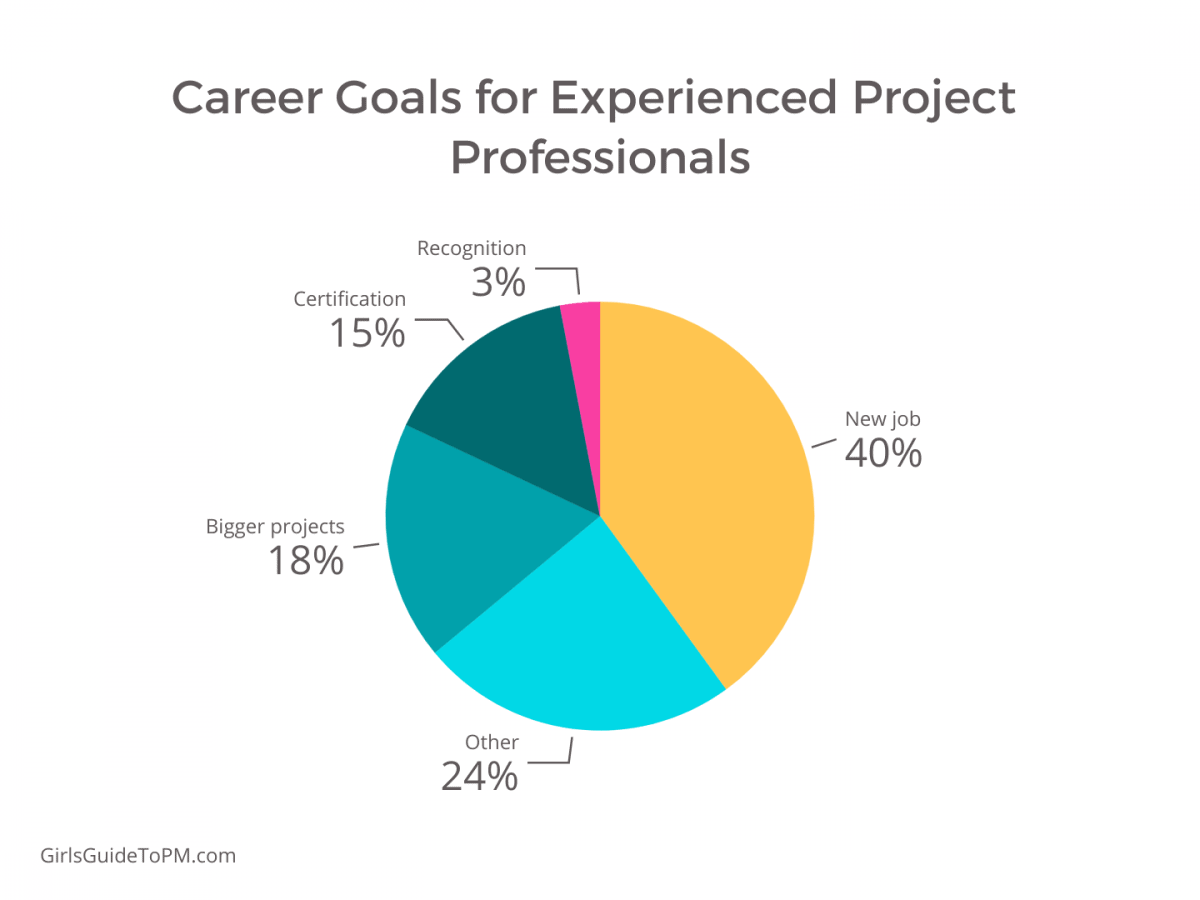 career goals for experienced project professionals chart