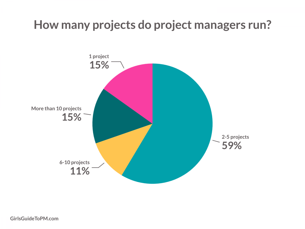 pie chart showing how many project people run