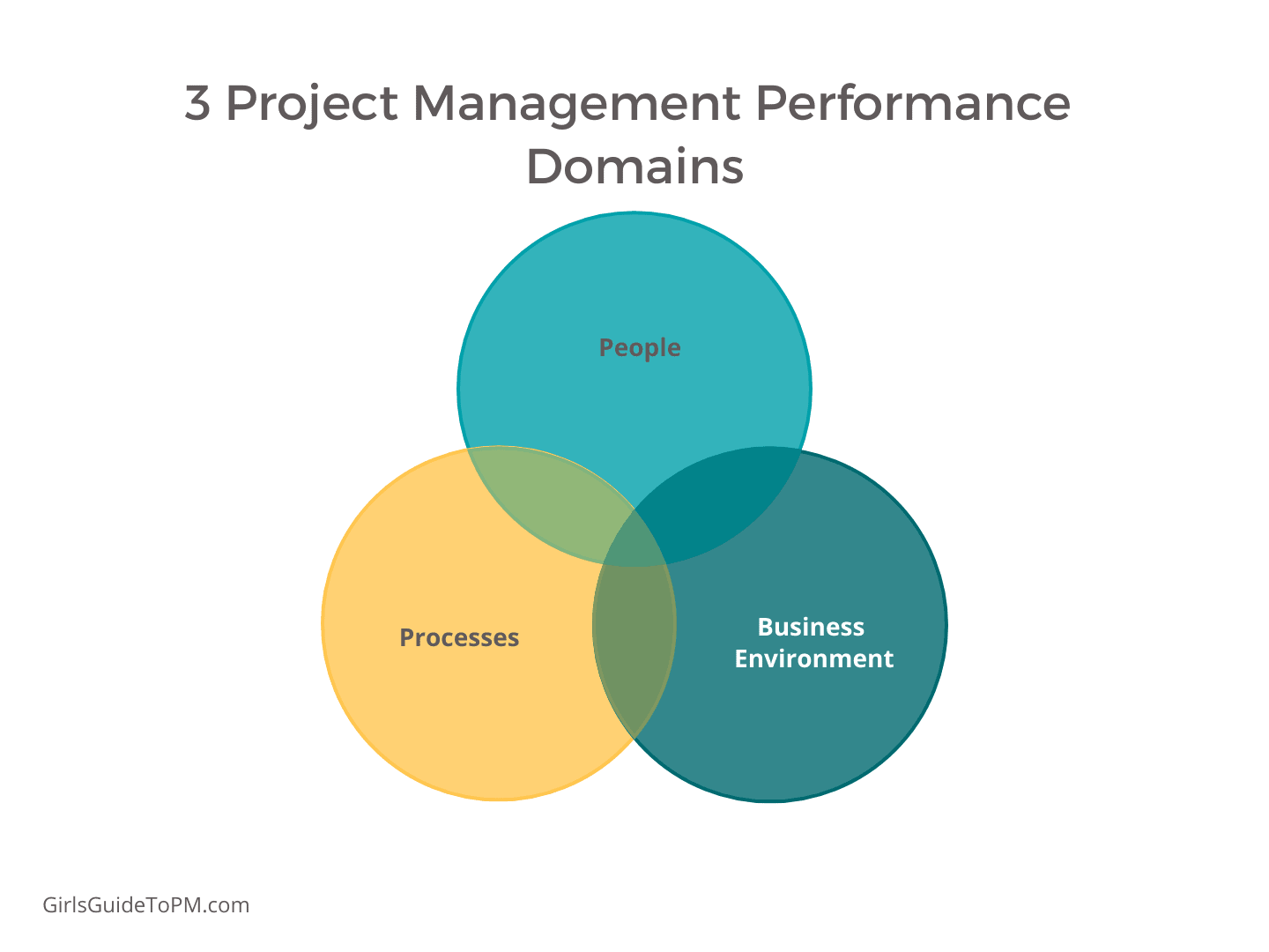 project management performance domains
