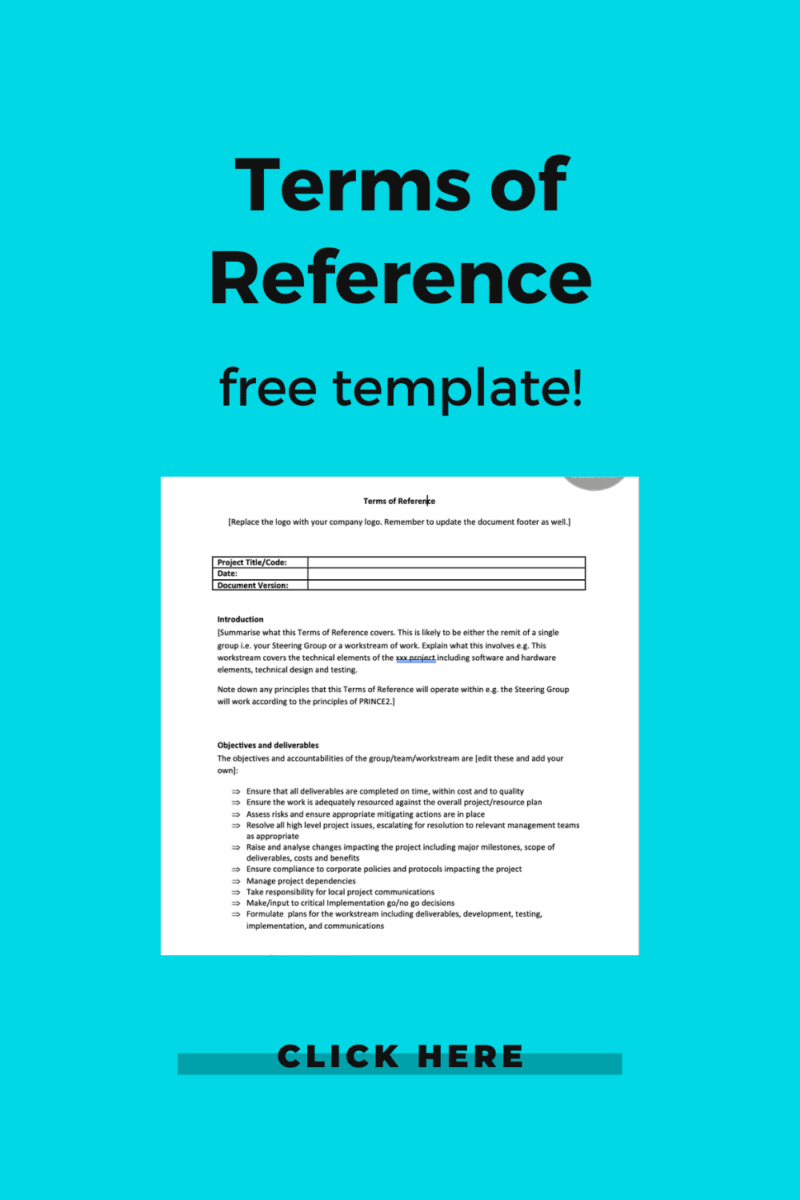 How to write a terms of reference with template & examples