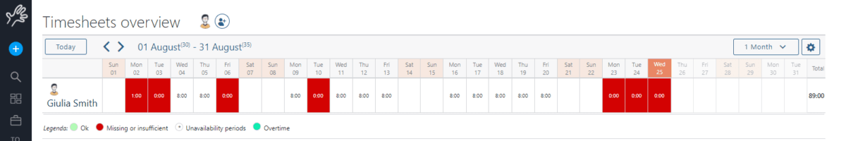 timesheets worklog overview