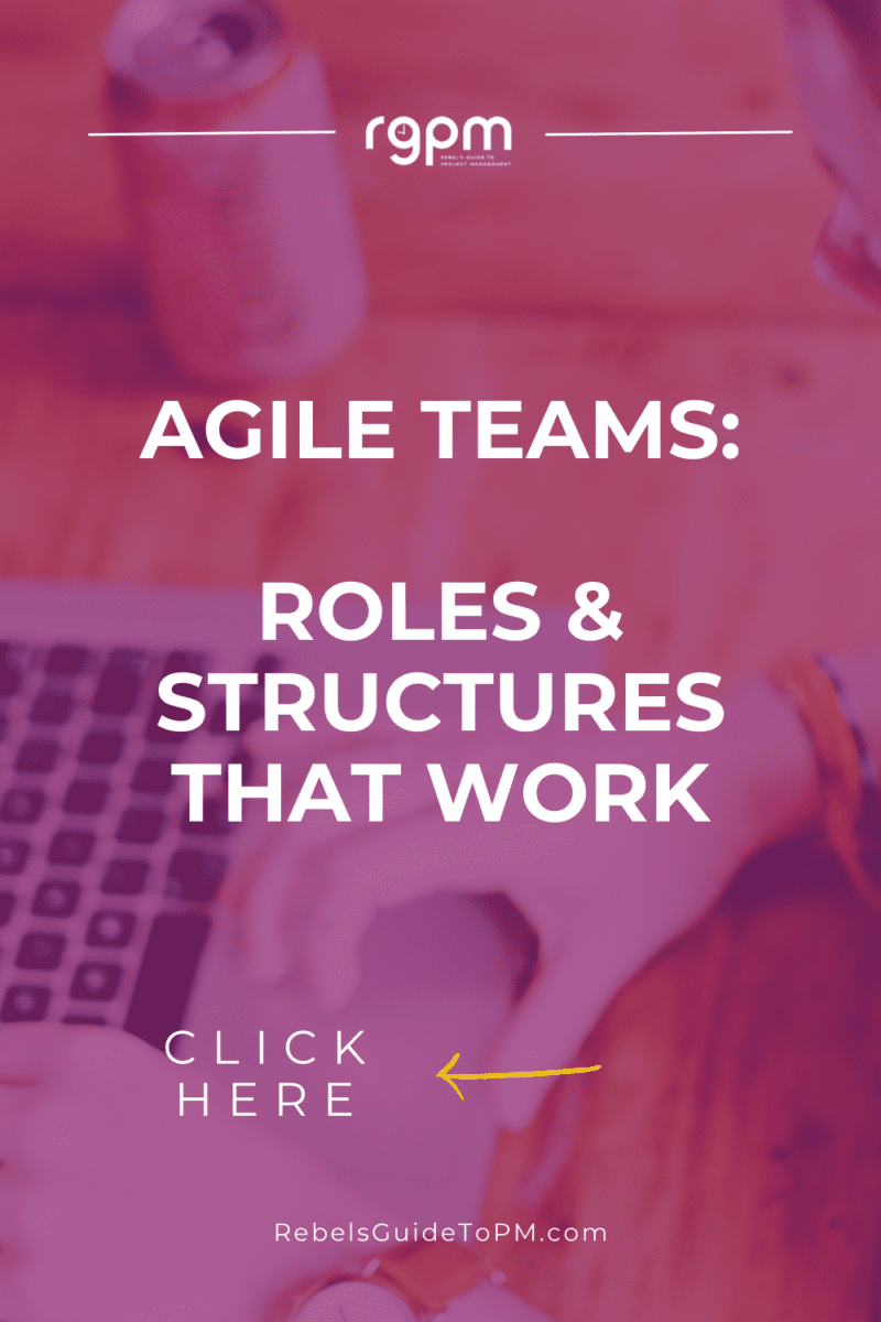 Agile teams: roles and structures that work