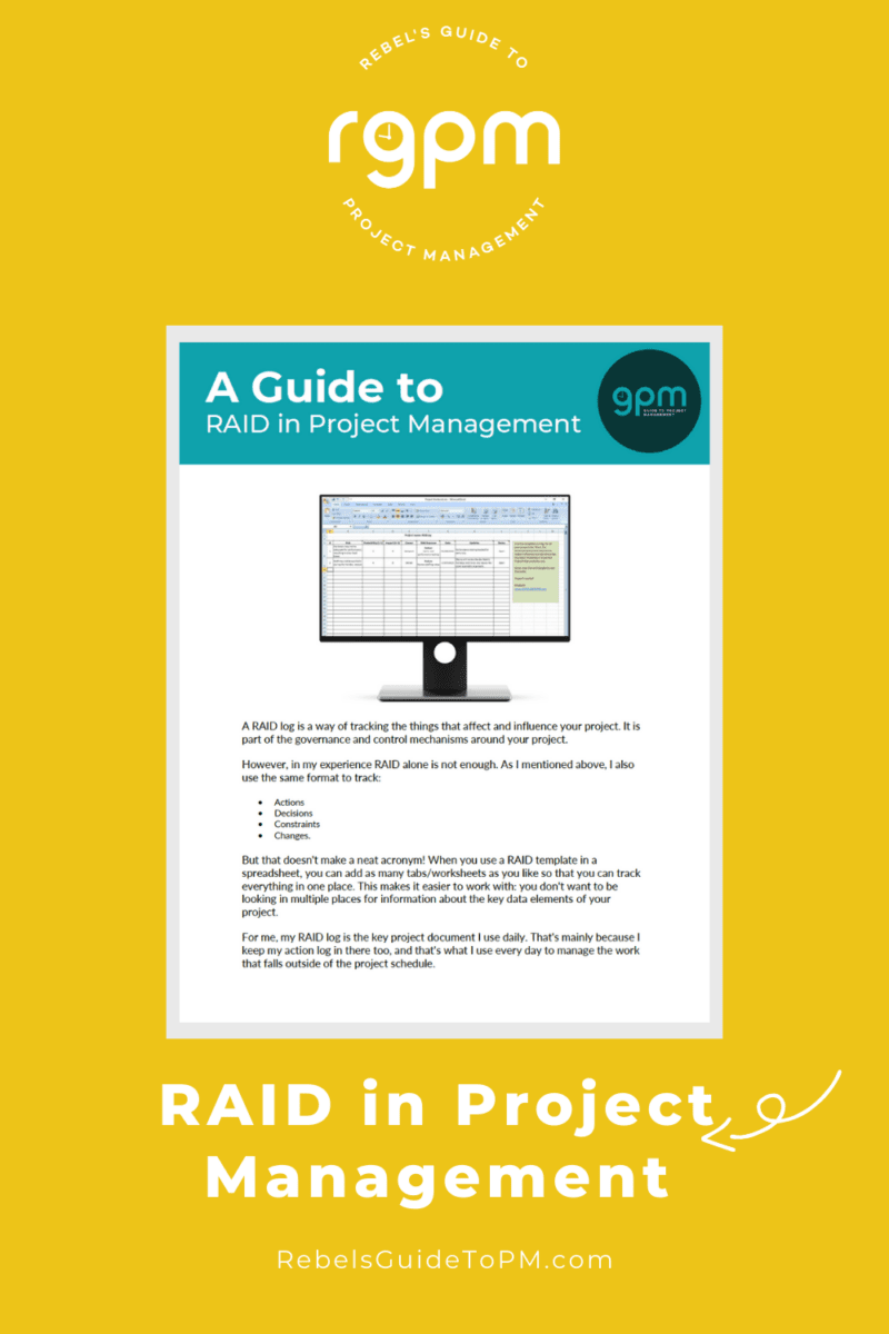 RAID in project management