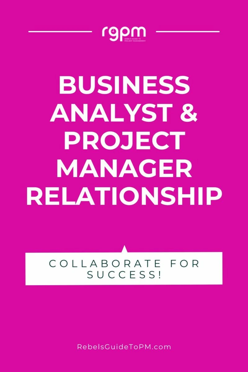 business analyst and project manager relationship