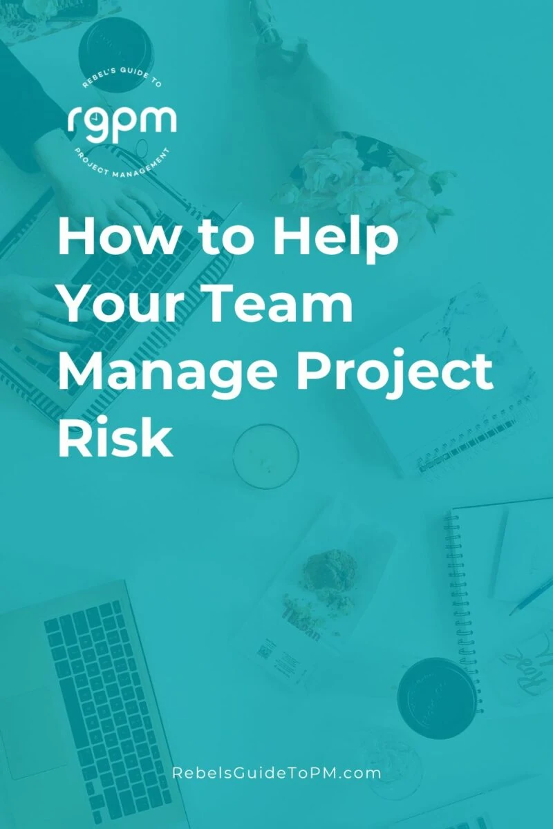manage project risk