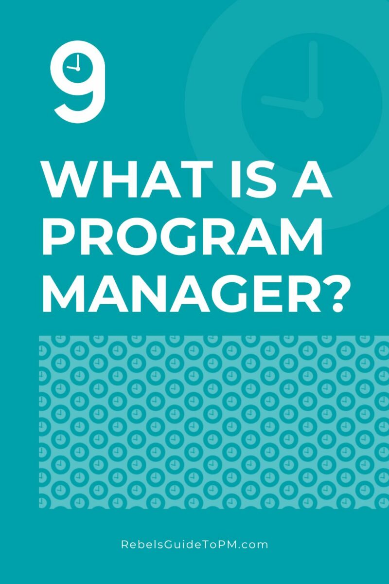 what-is-a-program-manager