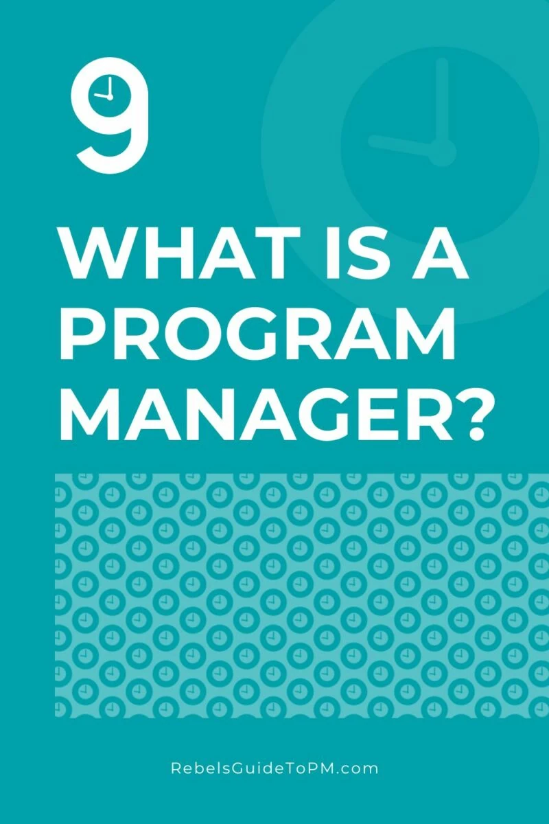 program manager
