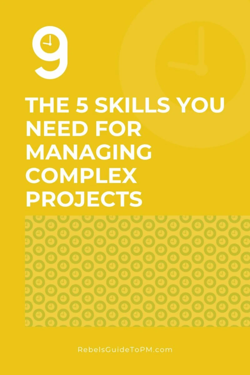 managing complex projects