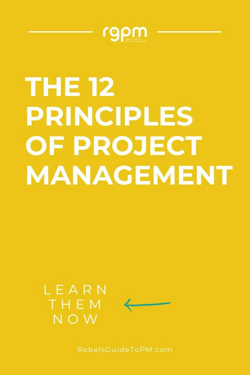 the 12 principles of project management