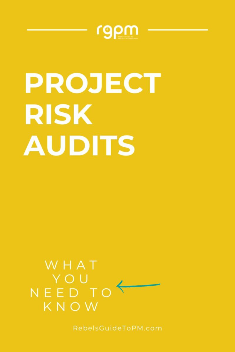 project risk audits