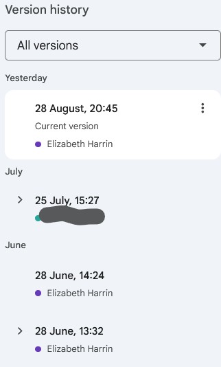 Screenshot of version history panel in Google Docs