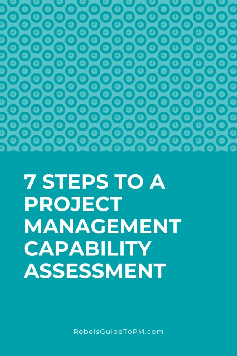 7 steps to a project management capability assessment