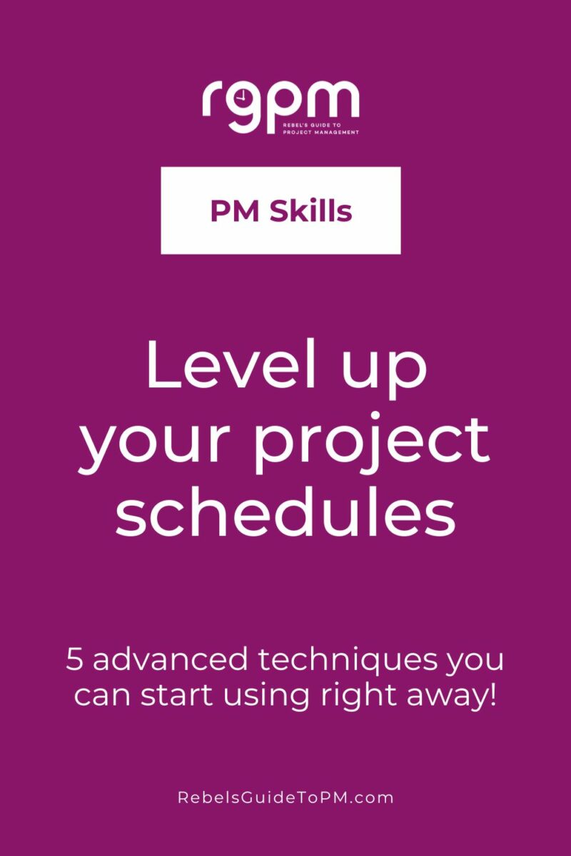 level up your project schedules