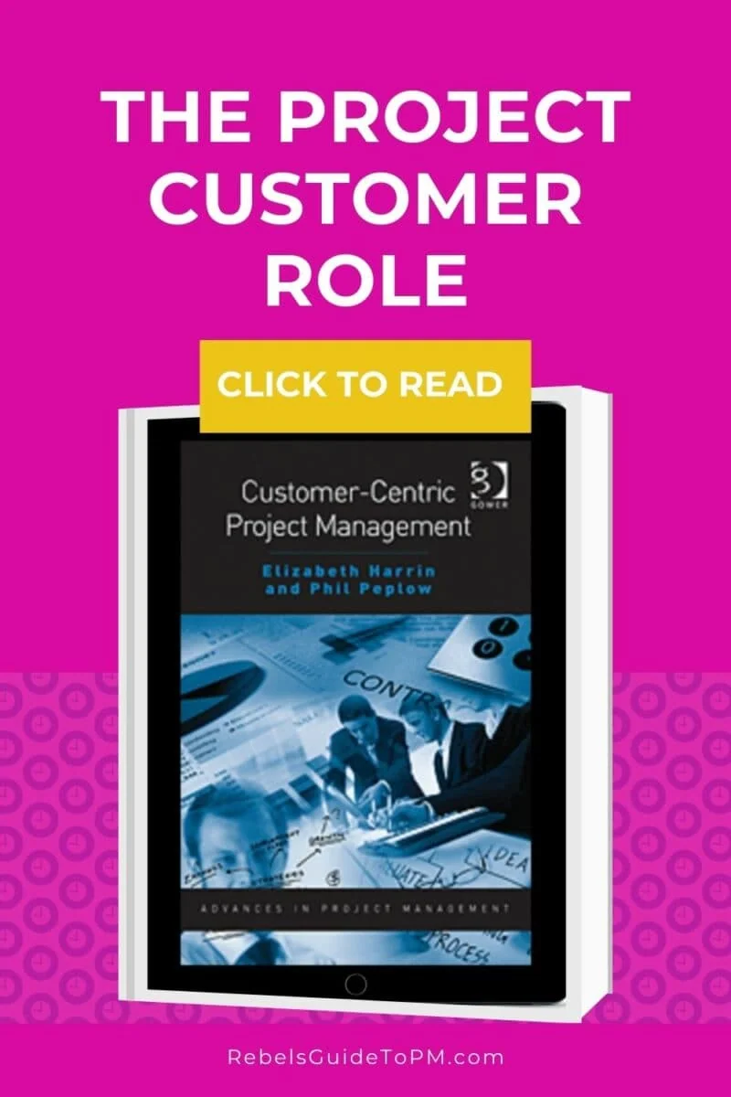 the project customer role