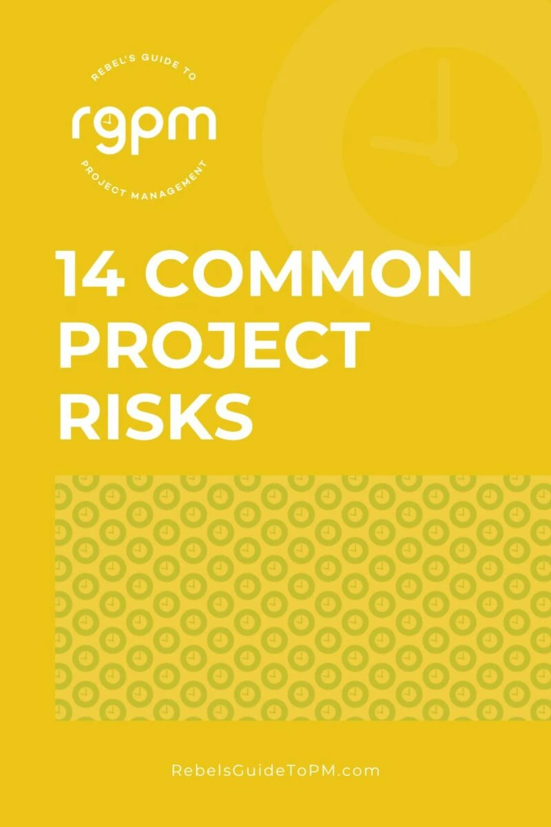 14 common project risks