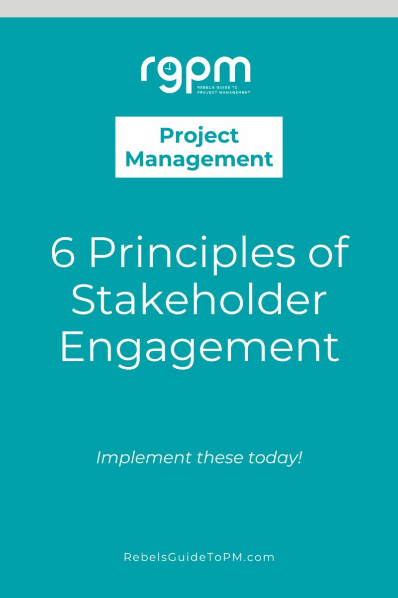 pin image with text: 6 principles of stakeholder engagement