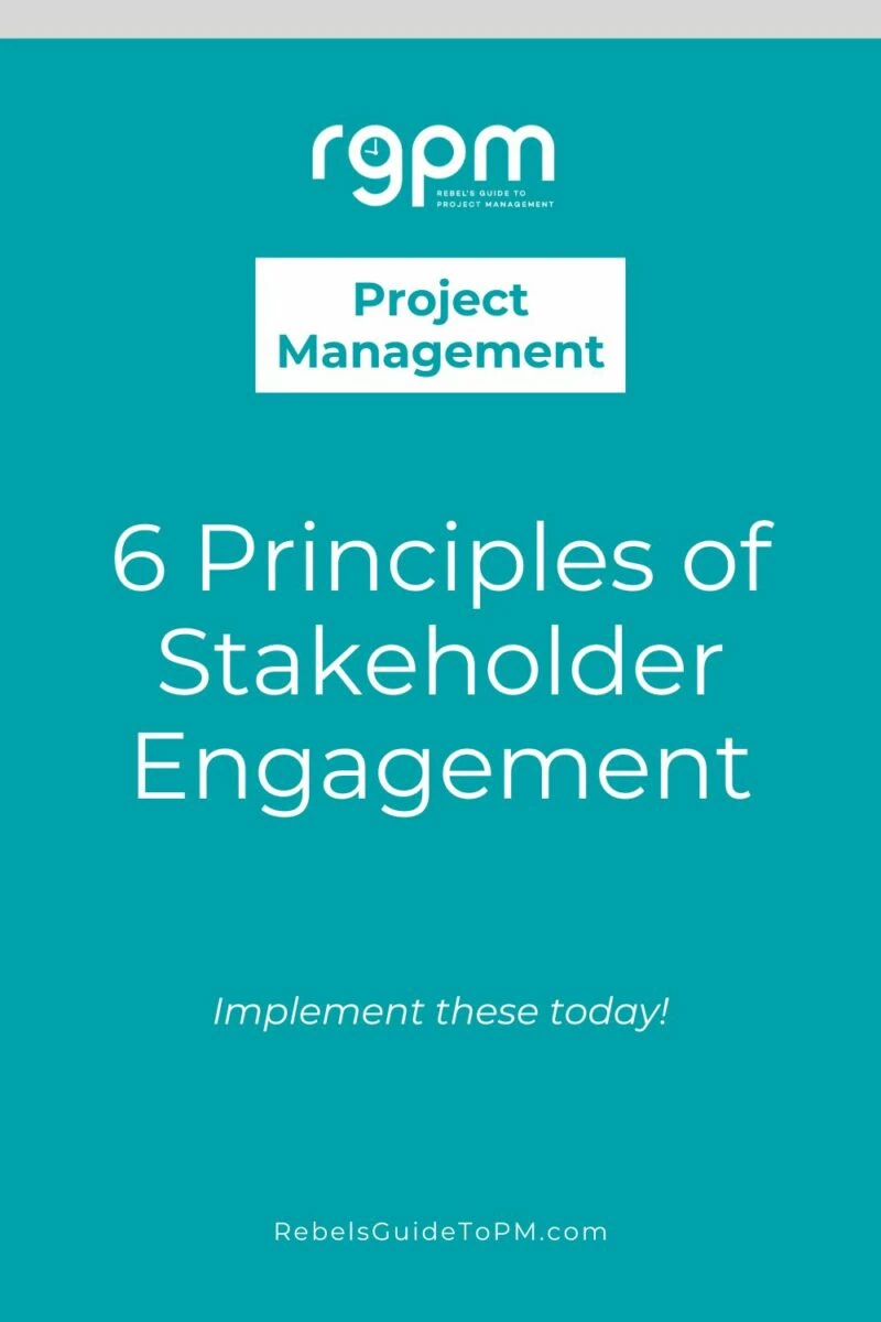 pin image with text: 6 principles of stakeholder engagement