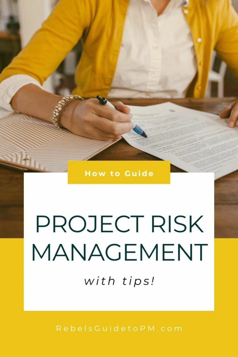 pin image with text: project risk management