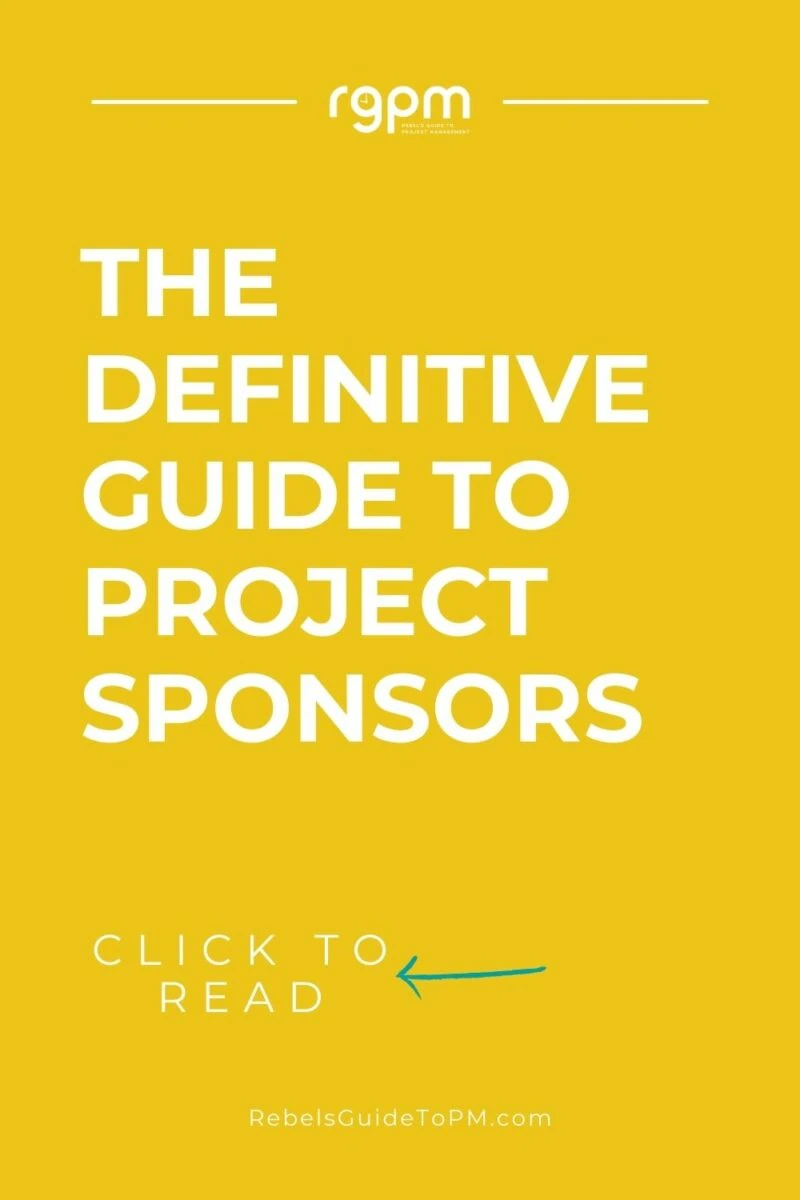 pin image with text: the definitive guide to project sponsors