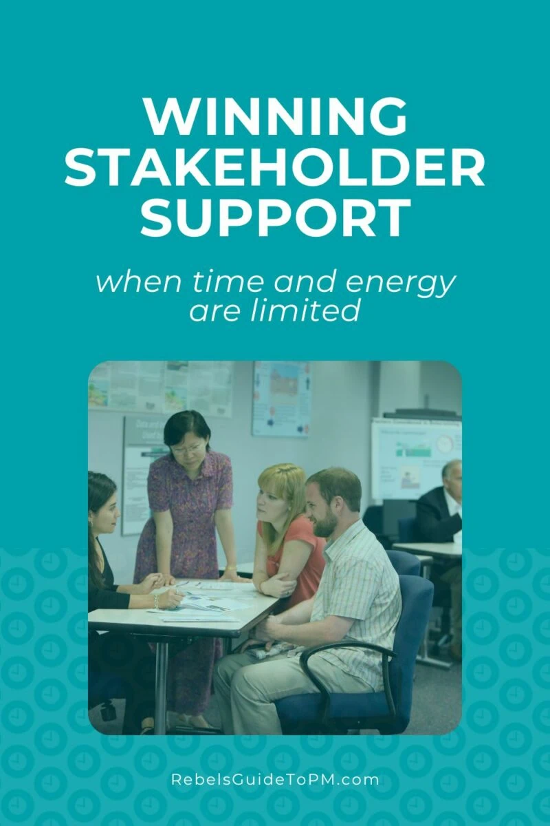 winning stakeholder support
