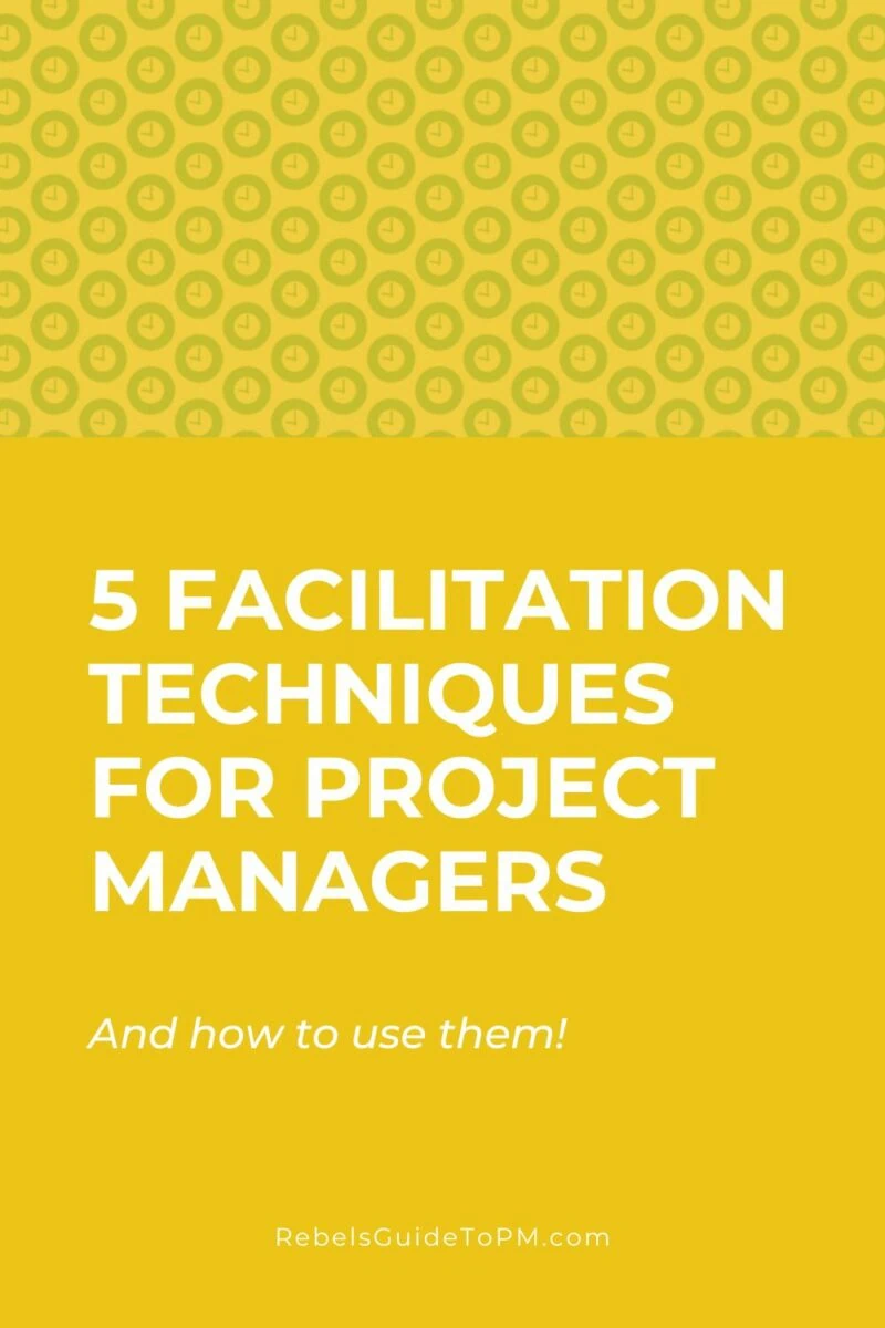 pin image with text: 5 facilitation techniques for project managers and how to use them!